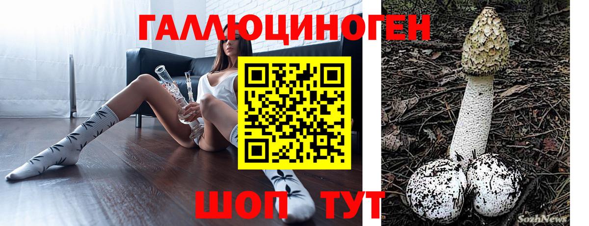Псилоцибиновые грибы Cubensis  Вход с VPN  Псилоцибиновые грибы Psilocybine cubensis  Верхняя Салда 